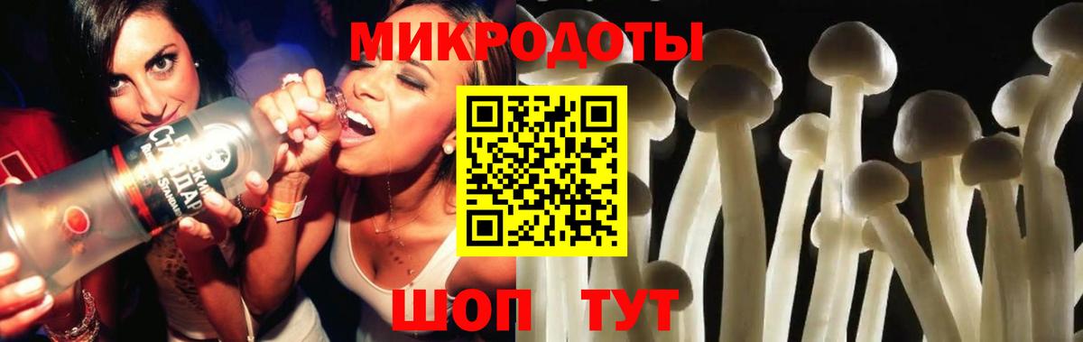 Галлюциногенные грибы Cubensis  Псилоцибиновые грибы прущие грибы  Борзя  Вход с VPN 